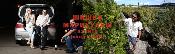 метадон Аркадак