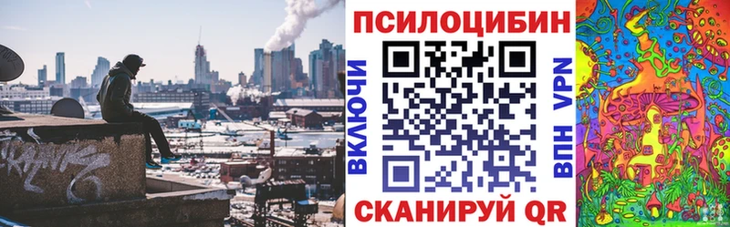 Галлюциногенные грибы Cubensis  Няндома 
